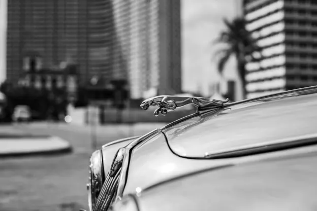 카줌 카지노 안드로이드/iOS 앱